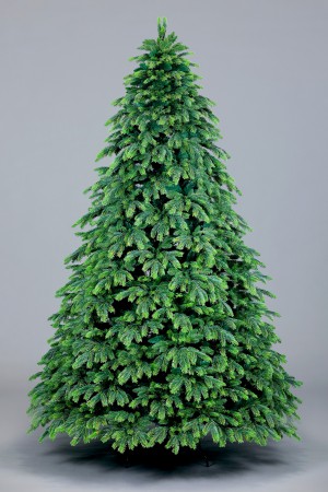 Ель Таежная