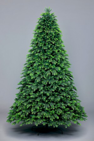 Ель Крымская