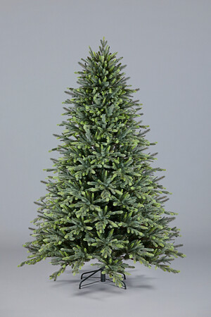 Ель Эверест