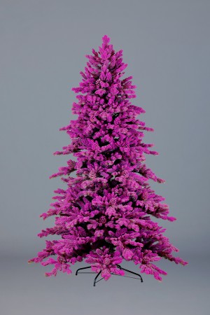 Ель Эльбрусская 2 (фиолетовая)