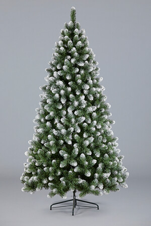 Ель Новогодняя (белые кончики)